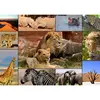 Grafika Collage - Wildlife F-30026