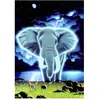 Grafika Schim Schimmel - Spirit of Africa F-30019