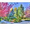 Grafika Forêt Colorée, Colorado, USA F-32262