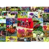 Grafika Collage - Vélos F-32249