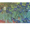 Grafika puzzel Van Gogh Vincent - Saint-Remy - Les Iris, 1889 - 1000 stukjes.