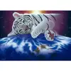 Grafika Schim Schimmel - Cuddle Time T-00414
