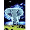 Grafika Schim Schimmel - Spirit of Africa T-00416