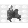SASIC Rotule de suspension pour VOLKSWAGEN: Touran, Golf Cabriolet, Ti...
