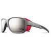 Julbo MONTEBIANCO 2 Lunettes de Soleil pour Hommes, Gris, Taille Unique