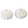 2 COQUILLES OURSIN DÉCO RÉSINE 2.5X4CM BLANC Blanc