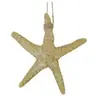 Grande Etoile de mer en résine naturelle 12cm
