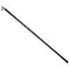 Daiwa Canne Bolognaise Procaster Big Pike