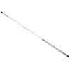 Canne télescopique Daiwa Aqualite Alborella 35