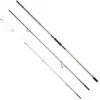 Daiwa Canne à Surfcasting Shorecast X