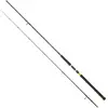 Daiwa Canne Jigging Legalis Shore