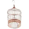 TIRELIRE CAGE OISEAU MÉTAL Ø20CM 31CM ROSE GOLD  Rose, Fuchsia