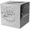 SANTEX Tirelire Anniversaire argent - noir et blanc étincelante aille Unique Coloris Unique