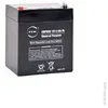 NX Batterie plomb AGM S 12V-4.5Ah FR 12V 4.5Ah T1 - Unité(s)