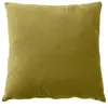 Coussin Dehoussable En Velours