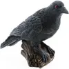 Chaks Raaf/kraai - op boomstronk - zwart - 17 cm - Halloween decoratie...