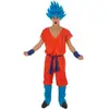 CHAKS Goku  Super Saiyan God Dragon Bal Z  - Man