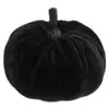 CHAKS - Zwart fluwelen pompoen 7 cm