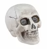 TÊTE DE MORT DÉCO PLASTIQUE 9X13X10.5CM