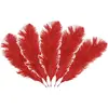 Chaks Struisvogelveren/sierveren - 5x - rood - 20-25 cm - decoratie/ho...