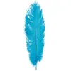Chaks Struisvogelveer/sierveer - turquoise - 55-60 cm - decoratie/hobb...