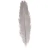 Chaks Struisvogelveer/sierveer - licht grijs - 55-60 cm - decoratie/ho...