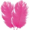 Chaks Struisvogelveren/sierveren - 2x - fuchsia - 30-35 cm - decoratie...