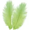 Chaks Struisvogelveren/sierveren - 2x - lime groen - 30-35 cm - decora...