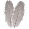 Chaks Struisvogelveren/sierveren - 2x - licht grijs - 30-35 cm - decor...