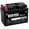 BS Battery Fabrieksgebaseerd onderhoudsvrije SLA-batterij - BTZ14S