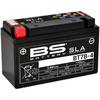 BS Battery Fabrieksmatige onderhoudsvrije SLA-batterij - BT7B-4