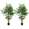 HOMCOM Lot de 2 plantes artificielles - ficus hauteur 1,50 m - tronc branches liane lichen feuilles grand réalisme pot inclus vert
