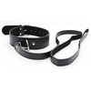 Collier Laisse Premium  