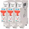 Lot de 3 disjoncteurs auto 10A PLG Ph+N borne à ressort 45kA courbe C