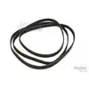 Courroie 1971 PH8 mael pour seche linge Haier 0180300006B