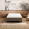 Ensemble Epeda DESTINATION + Sommier Escale confort ferme + Pieds 120x...