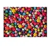 Alipson Puzzle Explosion de Pétales Puzzle-F-50234