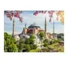 Alipson Puzzle Sainte Sophie - Istanbul Puzzle-F-50246