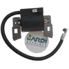JARDIAFFAIRES Bobine d'allumage compatible moteur Briggs Stratton remplace 397358