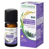 Naturactive Huile Essentielle Bio Romarin A 1,8 Cinéole 10ml