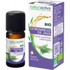 Naturactive Huile Essentielle Citronnelle de Java Bio 10ml