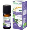 Naturactive Huile Essentielle Bio Eucalyptus Globuleux 10ml