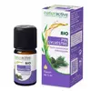 Naturactive Huile Essentielle Bio Pin Sylvestre 5ml