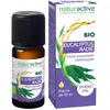 Naturactive Huile Essentielle Bio Eucalyptus Radié 10ml