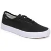 Baskets basses Element PASSIPH homme