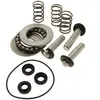 Mac Allister - Kit pistons + joints + roulements - nettoyeur haute pression