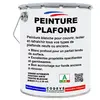 Peinture Plafond - 4x5 L - Codeve Bois
