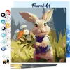 Figured'Art Mini Schilderen op Nummer Volwassenen 20x20cm met lijst Ko...