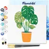 Figured'Art Mini Schilderen op Nummer Volwassenen 20x20cm met lijst Gr...