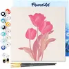 Figured'Art Mini Schilderen op Nummer Volwassenen 20x20cm met lijst 3 ...
